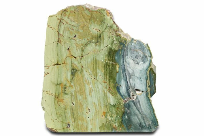 Free-Standing, Gary Green Jasper (Larsonite) Bog Wood - Oregon #334833